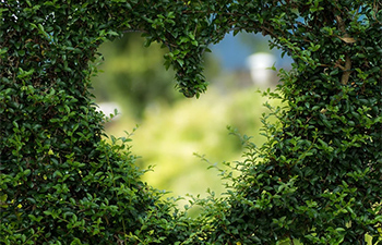 green events